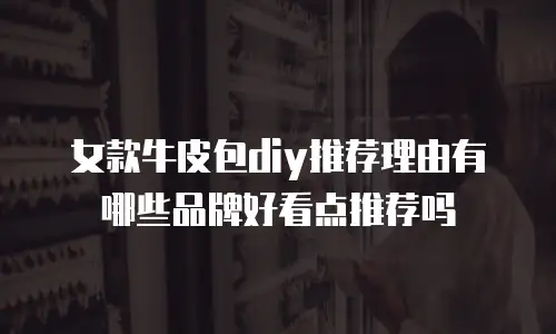 女款牛皮包diy推荐理由有哪些品牌好看点推荐吗