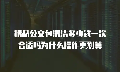 精品公文包清洁多少钱一次合适吗为什么操作更划算