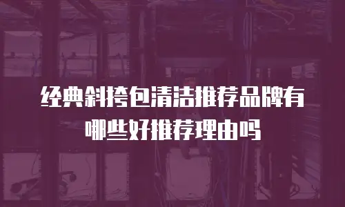 经典斜挎包清洁推荐品牌有哪些好推荐理由吗