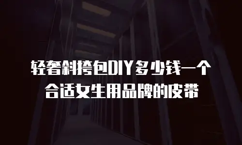 轻奢斜挎包DIY多少钱一个合适女生用品牌的皮带