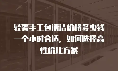 轻奢手工包清洁价格多少钱一个小时合适，如何选择高性价比方案