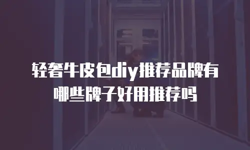 轻奢牛皮包diy推荐品牌有哪些牌子好用推荐吗