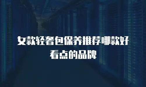 女款轻奢包保养推荐哪款好看点的品牌