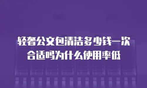轻奢公文包清洁多少钱一次合适吗为什么使用率低