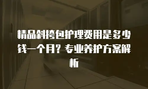 精品斜挎包护理费用是多少钱一个月？专业养护方案解析