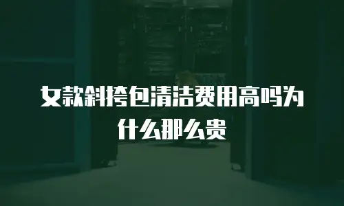 女款斜挎包清洁费用高吗为什么那么贵