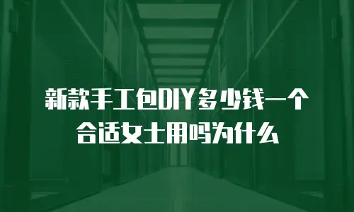 新款手工包DIY多少钱一个合适女士用吗为什么