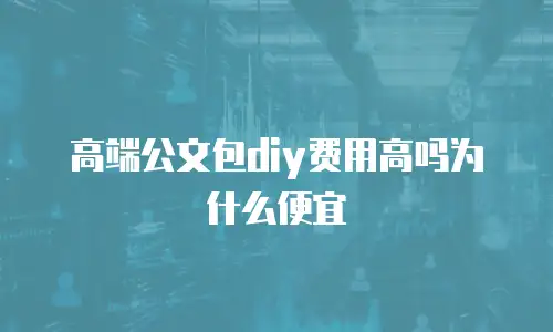 高端公文包diy费用高吗为什么便宜