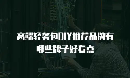 高端轻奢包DIY推荐品牌有哪些牌子好看点