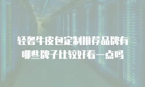 轻奢牛皮包定制推荐品牌有哪些牌子比较好看一点吗