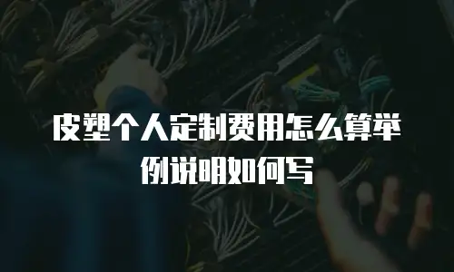 皮塑个人定制费用怎么算举例说明如何写