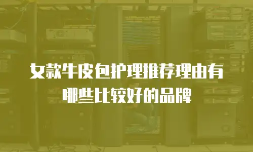 女款牛皮包护理推荐理由有哪些比较好的品牌