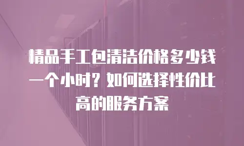 精品手工包清洁价格多少钱一个小时？如何选择性价比高的服务方案