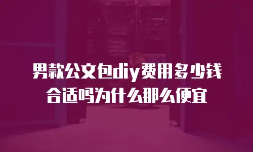男款公文包diy费用多少钱合适吗为什么那么便宜