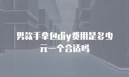 男款手拿包diy费用是多少元一个合适吗