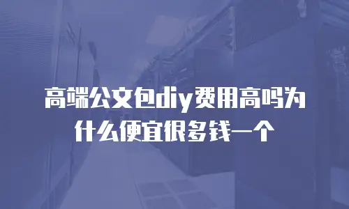高端公文包diy费用高吗为什么便宜很多钱一个