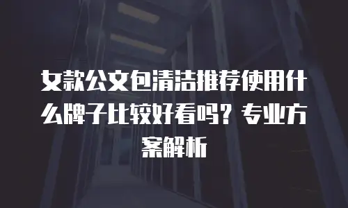 女款公文包清洁推荐使用什么牌子比较好看吗？专业方案解析