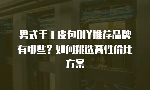 男式手工皮包DIY推荐品牌有哪些？如何挑选高性价比方案