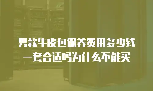 男款牛皮包保养费用多少钱一套合适吗为什么不能买