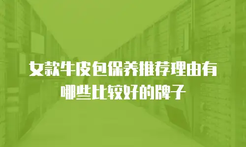 女款牛皮包保养推荐理由有哪些比较好的牌子