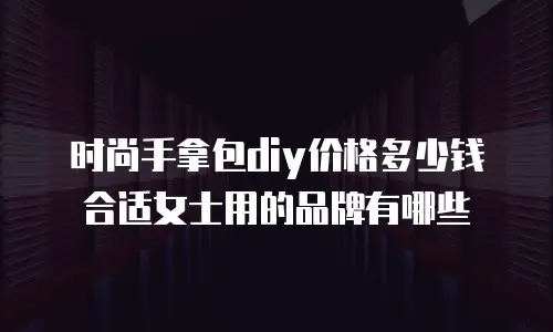 时尚手拿包diy价格多少钱合适女士用的品牌有哪些