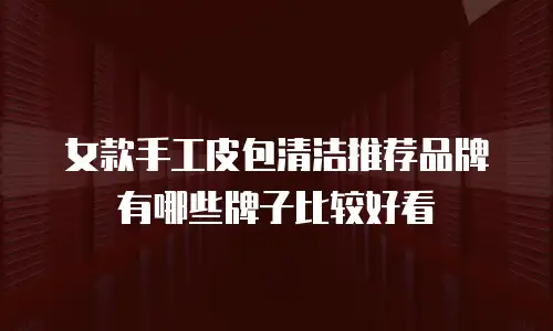 女款手工皮包清洁推荐品牌有哪些牌子比较好看