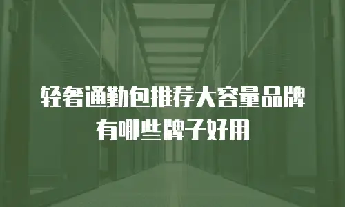 轻奢通勤包推荐大容量品牌有哪些牌子好用