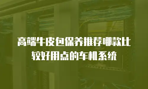 高端牛皮包保养推荐哪款比较好用点的车机系统