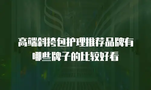 高端斜挎包护理推荐品牌有哪些牌子的比较好看