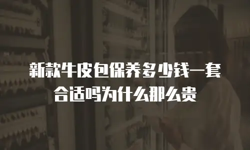新款牛皮包保养多少钱一套合适吗为什么那么贵