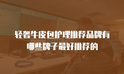 轻奢牛皮包护理推荐品牌有哪些牌子最好推荐的