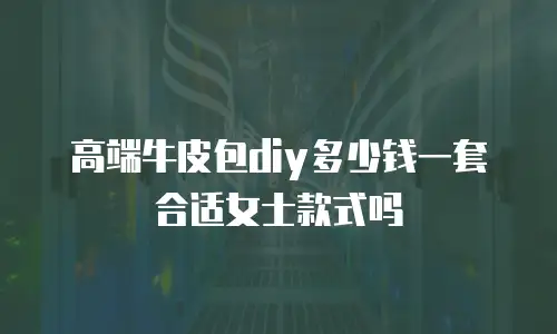 高端牛皮包diy多少钱一套合适女士款式吗