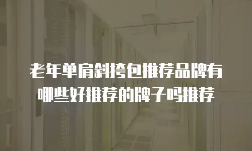 老年单肩斜挎包推荐品牌有哪些好推荐的牌子吗推荐