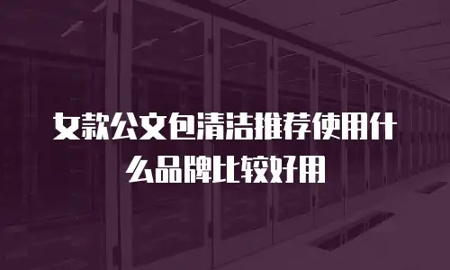 女款公文包清洁推荐使用什么品牌比较好用