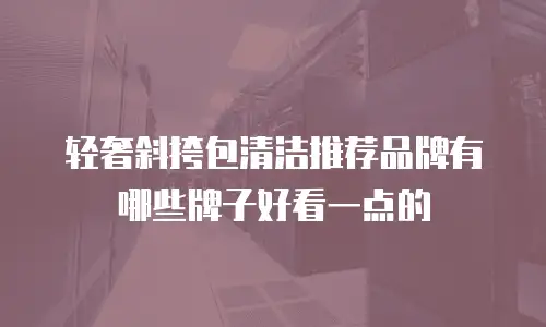 轻奢斜挎包清洁推荐品牌有哪些牌子好看一点的