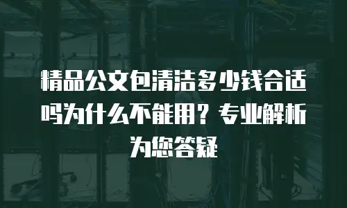 精品公文包清洁多少钱合适吗为什么不能用？专业解析为您答疑