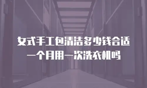 女式手工包清洁多少钱合适一个月用一次洗衣机吗