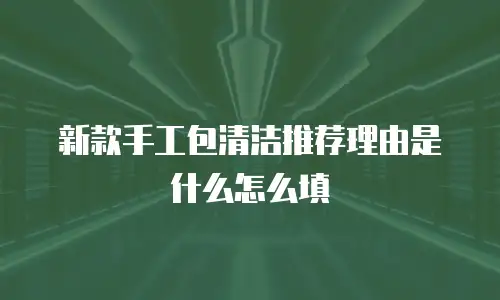 新款手工包清洁推荐理由是什么怎么填