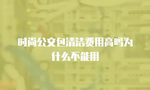 时尚公文包清洁费用高吗为什么不能用