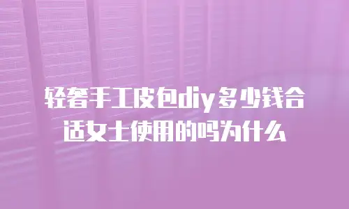 轻奢手工皮包diy多少钱合适女士使用的吗为什么
