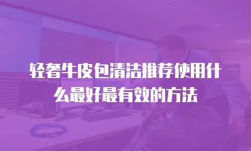 轻奢牛皮包清洁推荐使用什么最好最有效的方法