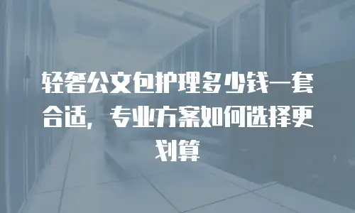 轻奢公文包护理多少钱一套合适，专业方案如何选择更划算