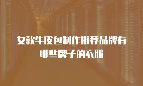 女款牛皮包制作推荐品牌有哪些牌子的衣服