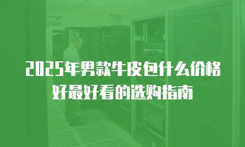 2025年男款牛皮包什么价格好最好看的选购指南