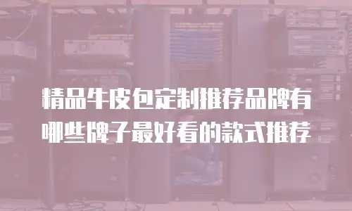 精品牛皮包定制推荐品牌有哪些牌子最好看的款式推荐