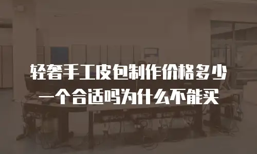 轻奢手工皮包制作价格多少一个合适吗为什么不能买