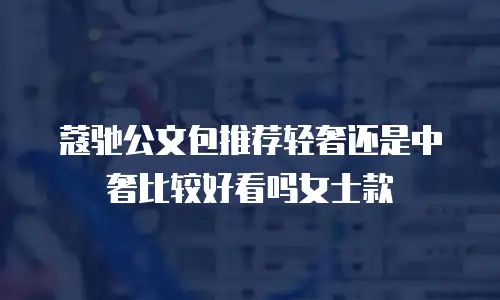 蔻驰公文包推荐轻奢还是中奢比较好看吗女士款