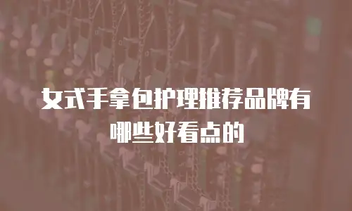 女式手拿包护理推荐品牌有哪些好看点的