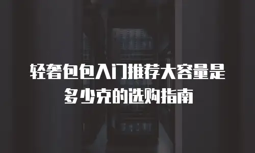 轻奢包包入门推荐大容量是多少克的选购指南