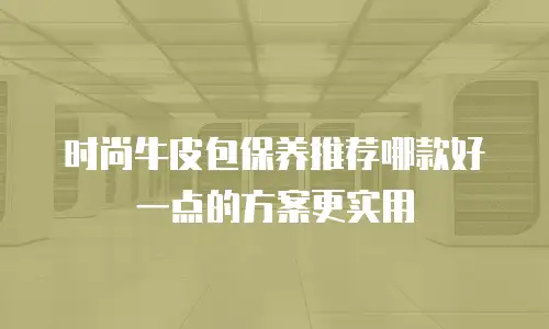 时尚牛皮包保养推荐哪款好一点的方案更实用